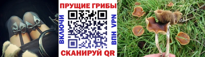 Псилоцибиновые грибы мухоморы  Купить  Минеральные Воды 